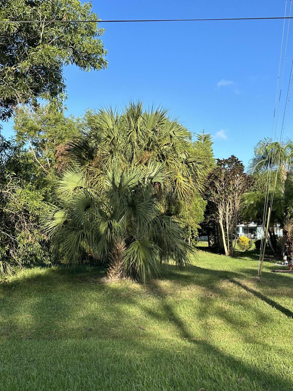 Vacant lot in established sought after neighborhood AVAILABLE NOW! 10 minutes to JENSEN BEACH! Bring your builder and build your DREAM HOME! Mature Trees, just under 1/4 acre tucked into the heart of the community... ready for YOU!