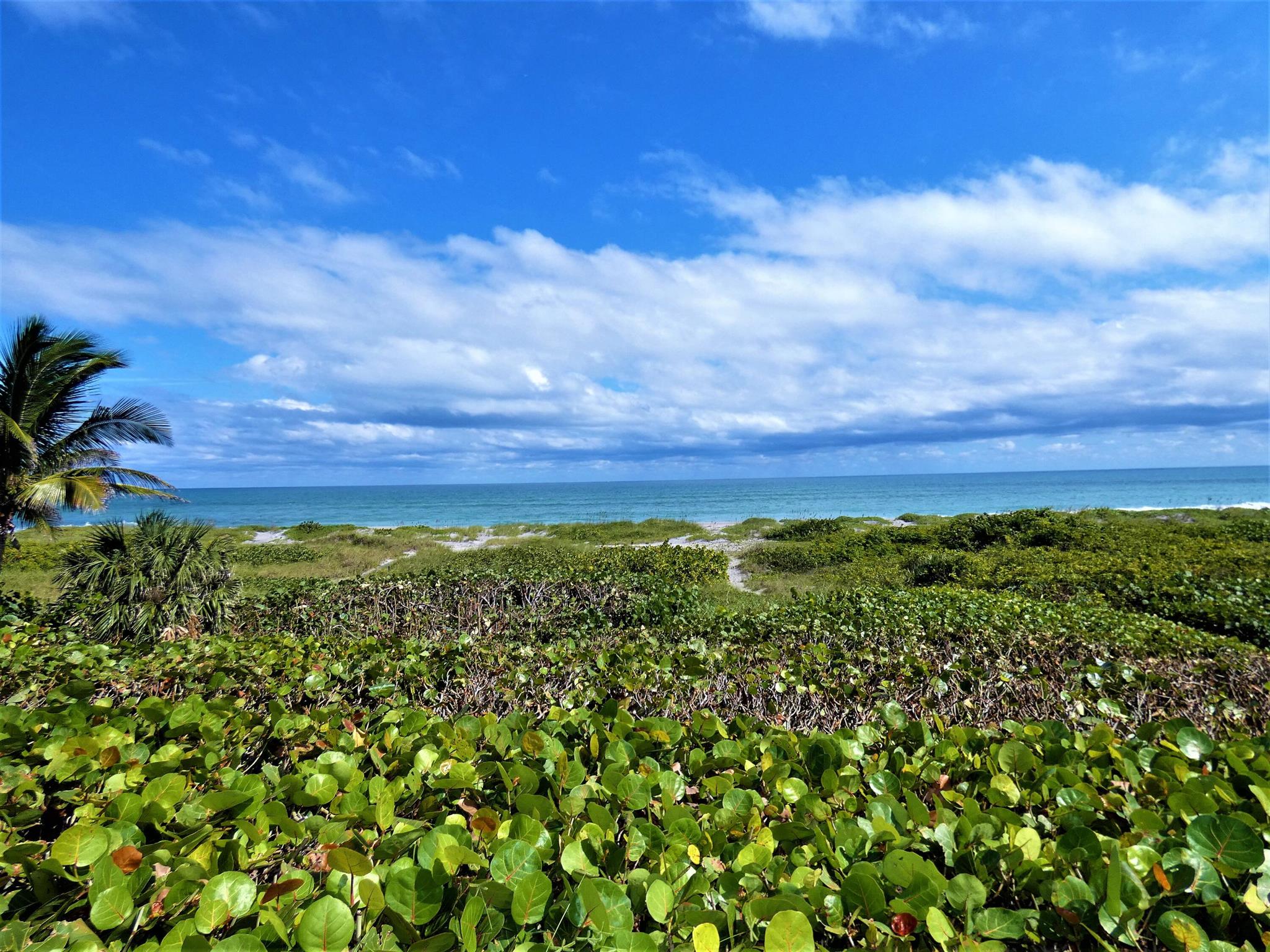 Jupiter Island - Residential Lease