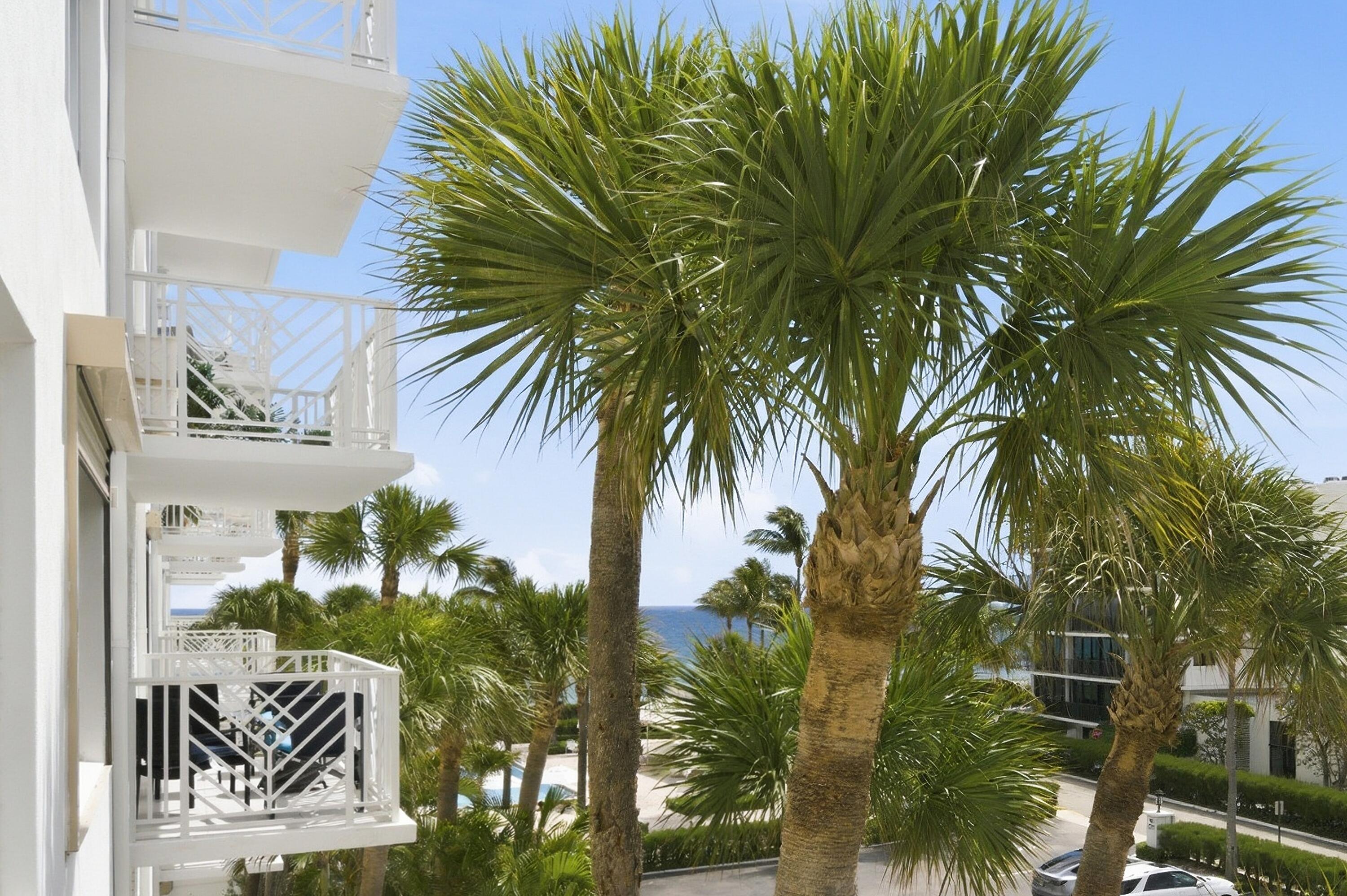 OCEAN TOWERS NORTH CONDO - Residential