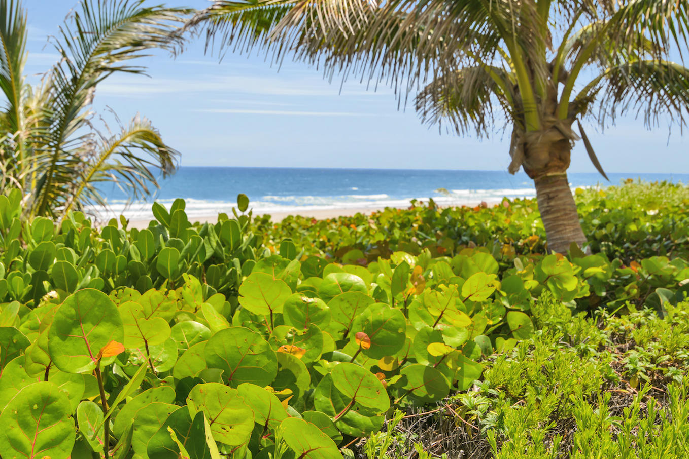 CHALFONTE CONDO - Residential Lease