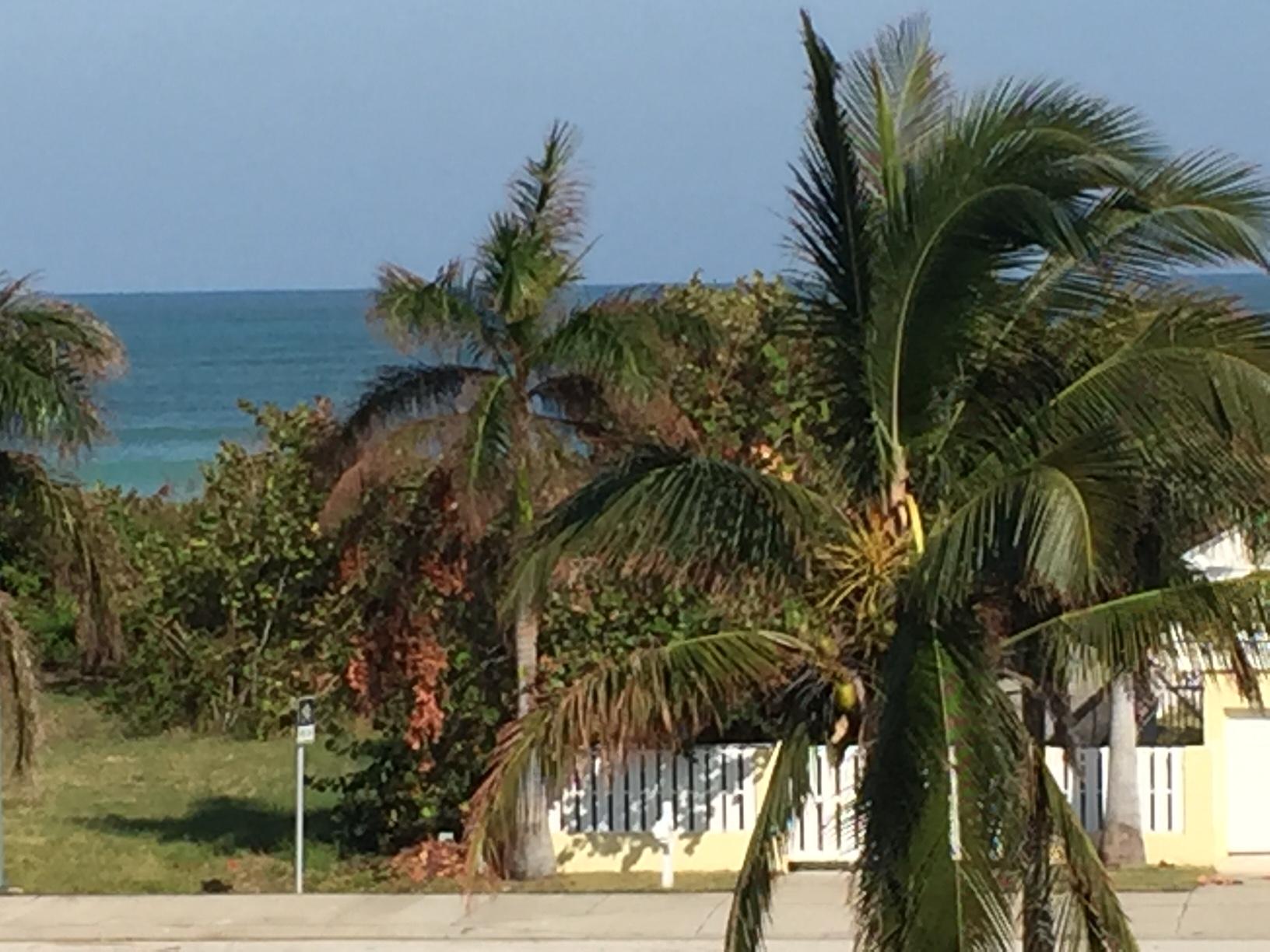 TROPICAL BEACH - Residential