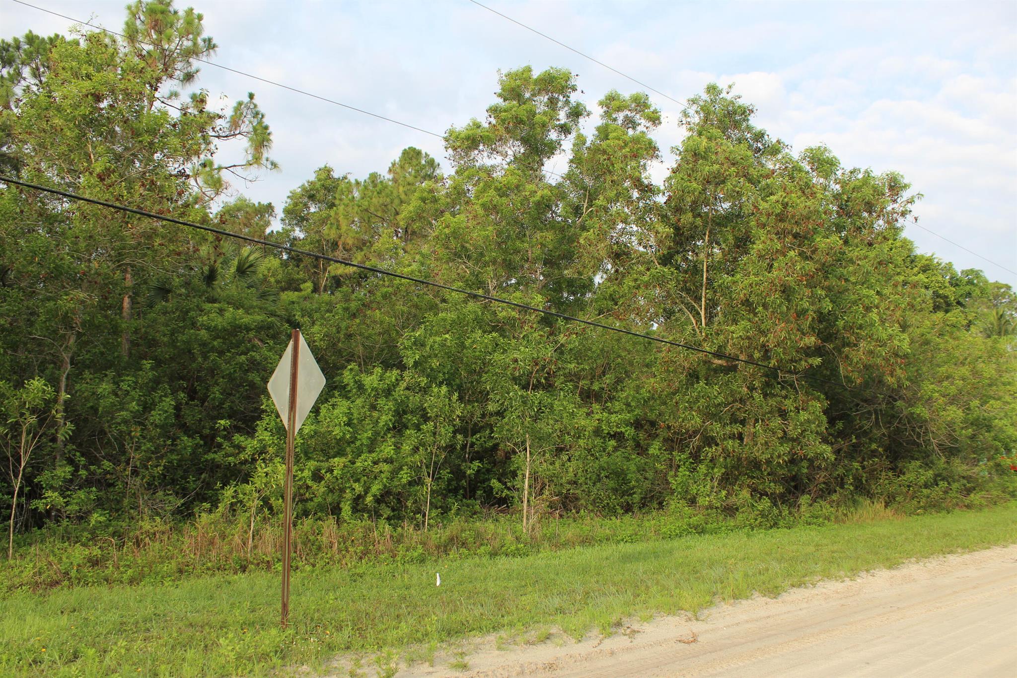 Beautiful property on well desired 94th St in Loxahatchee! Loaded with tall pines and palmettos and across from wide canal.Watch all the amazing birds, turtles and wildlife at your lovely country homestead and at the same time close proximity to schools, shopping, dining and entertainment. Minutes from beaches, major highways and PBIA.