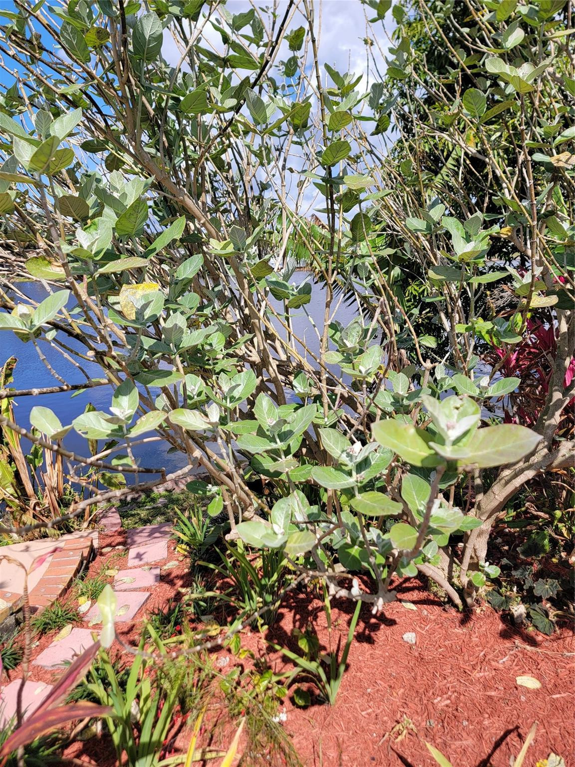 Sunrise Golf Village Sec - Residential