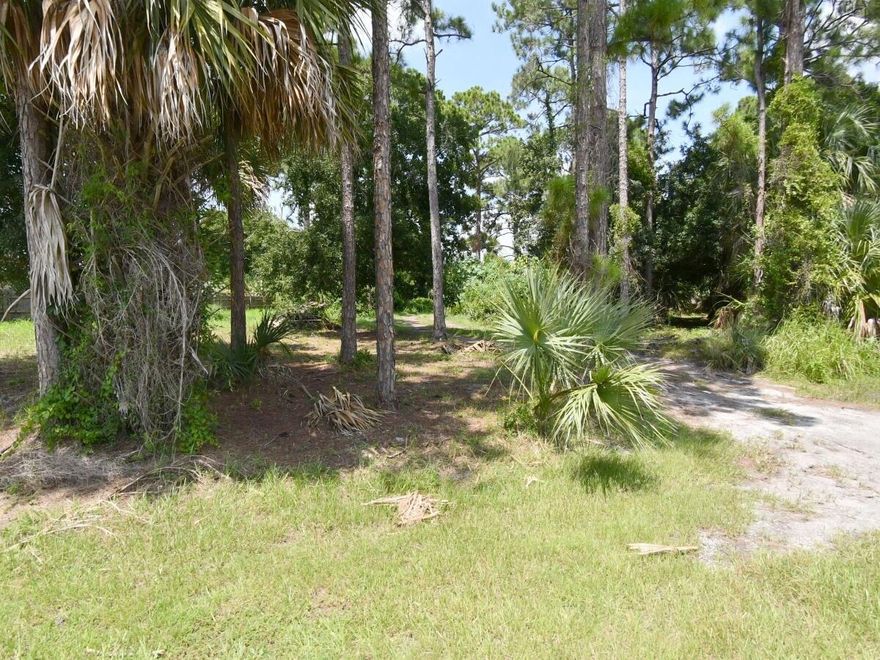Build your dream home in this highly sought-after neighborhood! This over sized lot offers quick access to shopping, dining, schools, and major highways. No HOA, no restrictions--endless possibilities!