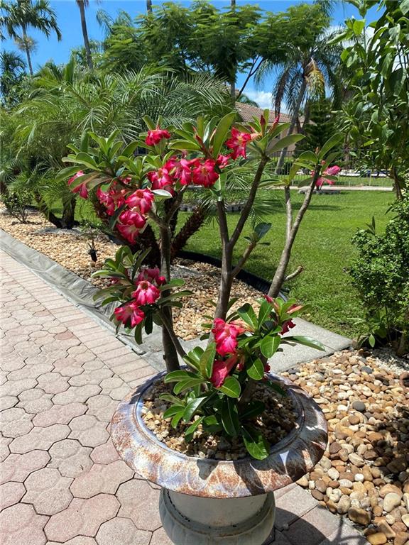 Mariners Cove Of Eagle La - Residential