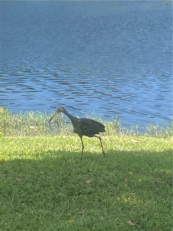 Century Village - Residential