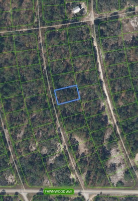 213 SUNFLOWER AVE, LAKE PLACID, FL 33852 - Image 9904ab7239eeed6aec00ba10dca3d126/3852476200
