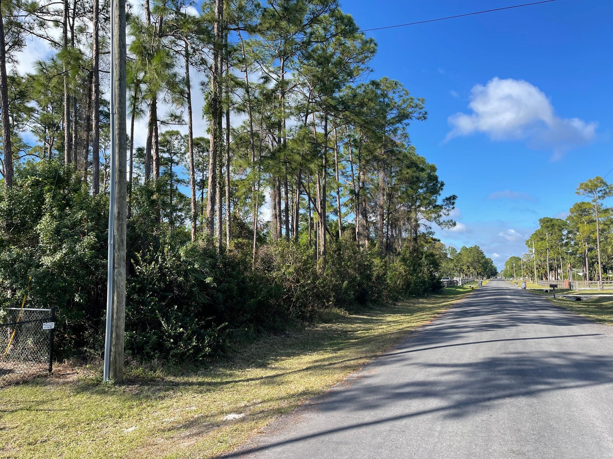 Nicely treed 1.29 acre lot on a paved road that backs to a canal. High and dry lot ready for your dream home.