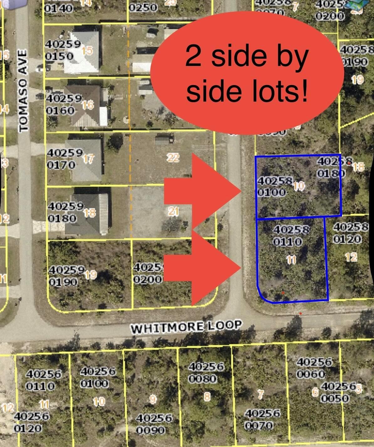 **RARE SIDE-BY-SIDE lots available** They are both high and dry. The other address is 1816 Styles Ct. Same Price. Build two homes.... or one large one! Enjoy the allure of privacy and serenity, while remaining conveniently close to urban amenities. Picture embracing the charm of rural living while having easy access to city comforts as well as the beautiful beaches. With ongoing development in the area, it's wise to secure your spot before prices escalate further. Just a short drive away, you'll find attractions like Lazy Springs Recreational Park, Majestic Golf Club, Healthy Harvest Community Farms, and local schools as well as many other recreational locations. So come and enjoy SW Florida!