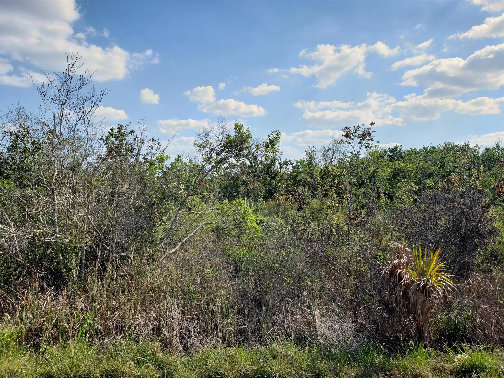 VIKINGS PRAIRIE / VIKING ESTATES - Own this 2.5 acre vacant parcel, and bring or build your dream home surrounded by nature. Two 1.25 acre parcels, sold as one. A short drive off of the main road, and yet still very private. Just a few miles west from Orange Ave shopping, dining, I-95, and access to Florida's Turnpike. This community is located near Kissimmee State Preserve Park and Lake Okeechobee. Gaze up at the star-filled night sky every night. Kissimmee Prairie Preserve State Park is recognized as Florida's first Dark Sky Park by the International Dark Sky Association.Okeechobee offers superior fishing and is the largest freshwater lake in the state. Land bank this property to either build a home or hold for later. No homeowners association fee.