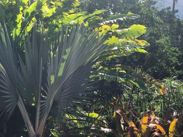 RIVERWOOD COVE - Residential Lease