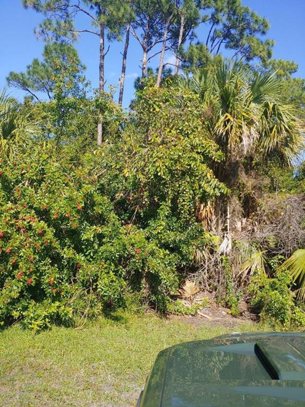 Photo of 2233 SW Savage Boulevard, Port Saint Lucie, FL 34953 (MLS # R10767424)