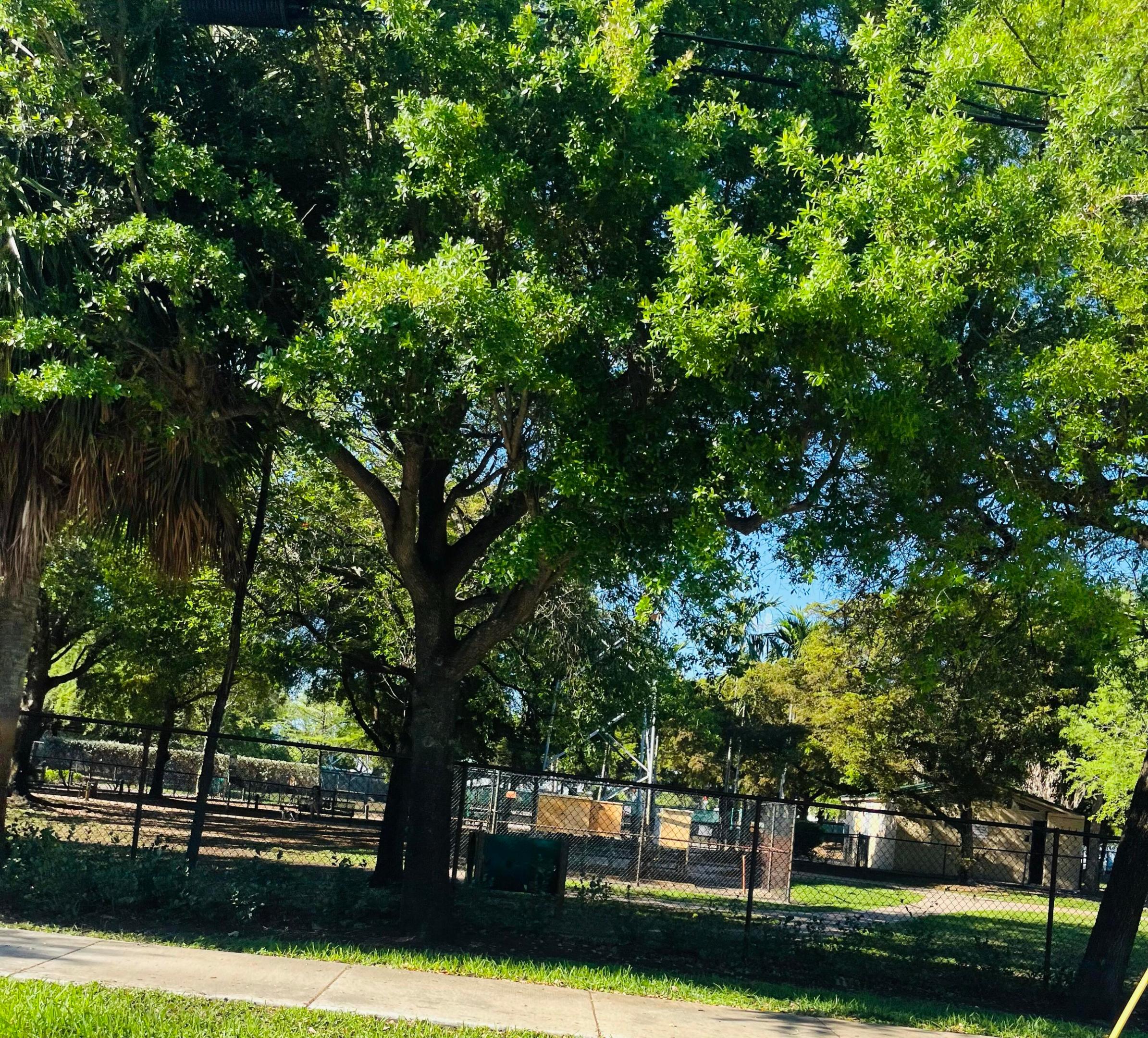 Royal Park - Residential