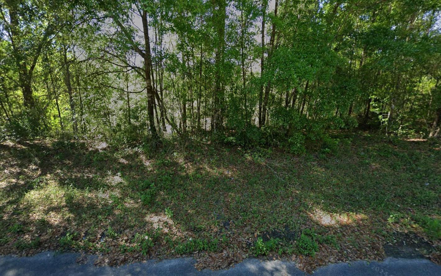 JACKSONVILLE SOUTH - Land