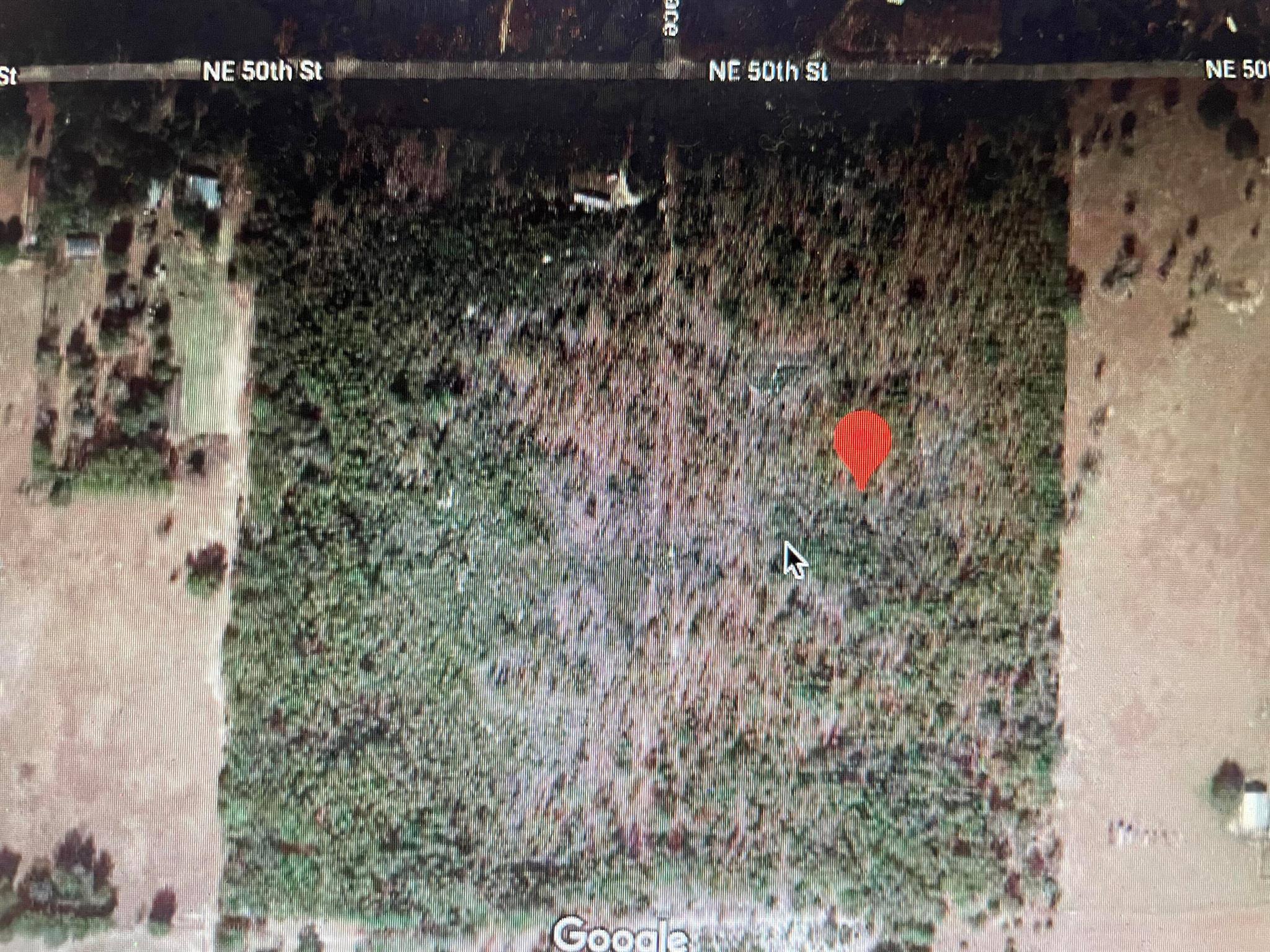 20 ACRE HIGH AND DRY LOT. LOW TAXES. LOCATED 10 MINUTES FROM WILLISTON. 35 MIN TO CEDAR KEY.
