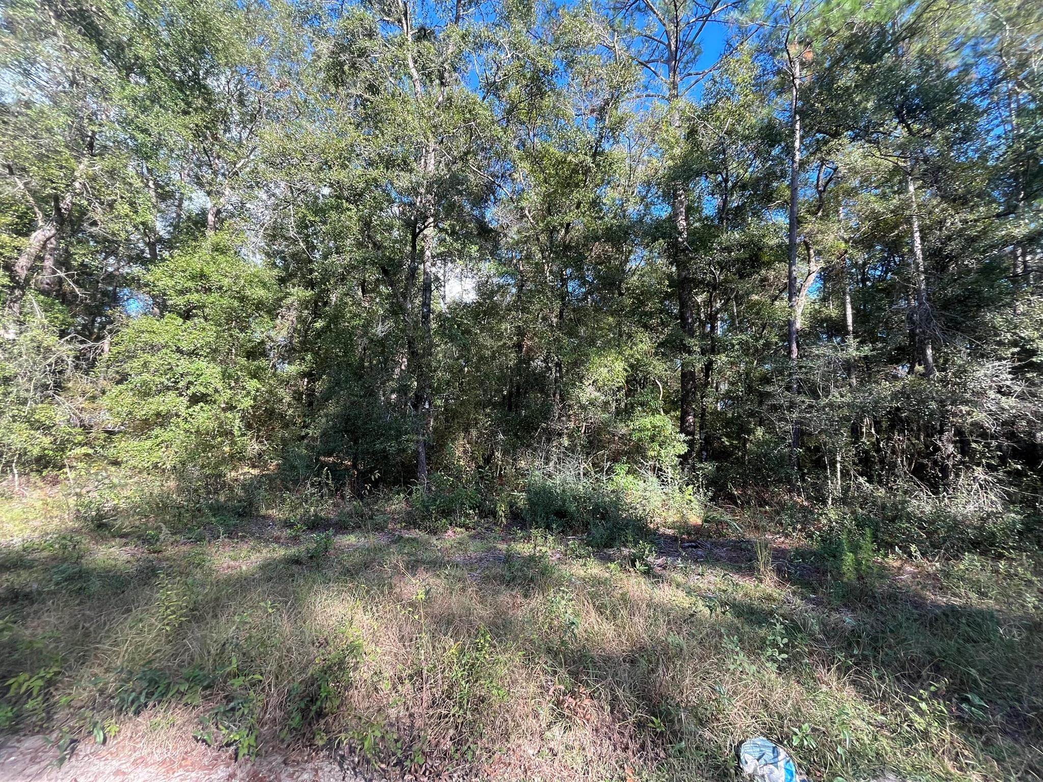 Tbd Rutland Road