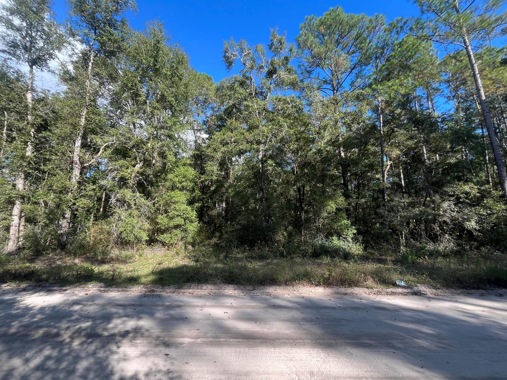 Owner Financing Considered!!! Build or bring your dream home on this beautiful 2.24-acre lot in the highly sought-after Casora Estates! This high and dry property is nestled in a secluded wooded area off Highway 98, conveniently close to the St. Francis Refuge. You'll appreciate that this property is not in a flood zone and has no HOA fees. Plus, power poles are already available on the street, making your building process even smoother. The location offers the best of both worlds: you're just a short 20-minute drive from Florida's stunning Forgotten Coast and Alligator Point, and an equally pleasant drive to Tallahassee, our capital city.Investing in land in Florida is a smart choice for your future. Whether you envision a permanent residence, a vacation getaway, a rental income property