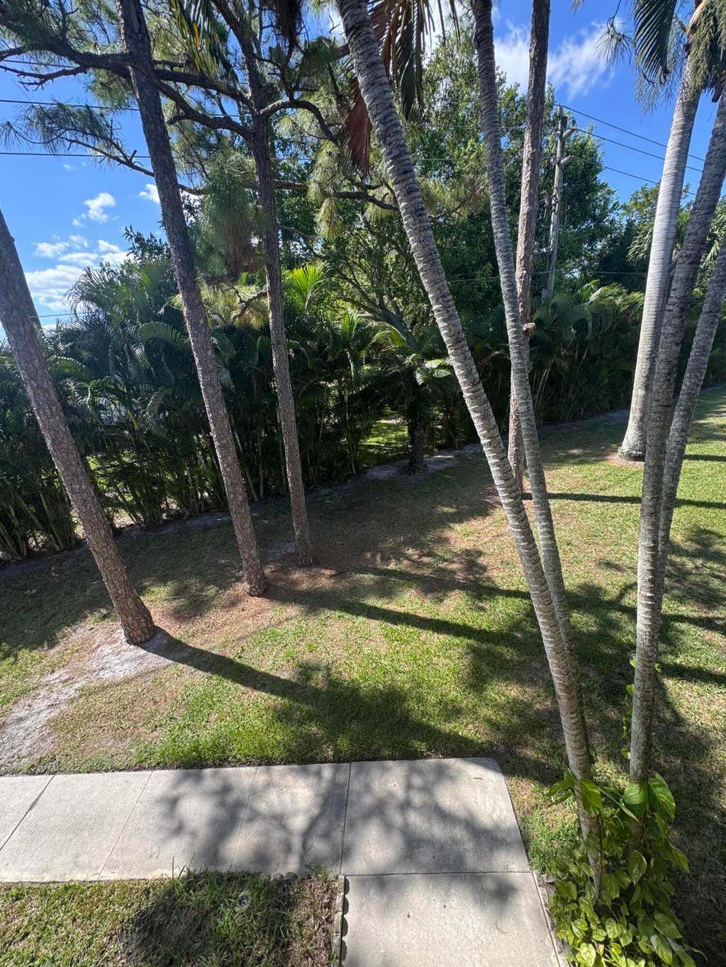 Photo of 435 Pine Glen Lane #C-2, Greenacres, FL 33463 (MLS # B26030202)