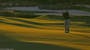 Old Palm Golf Club - Residential