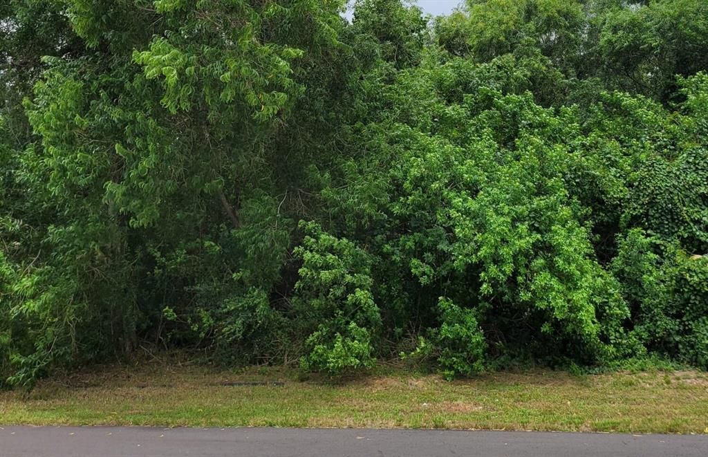 Photo of 5100 NW Erskin Terrace, Port Saint Lucie, FL 34953 (MLS # R10740931)