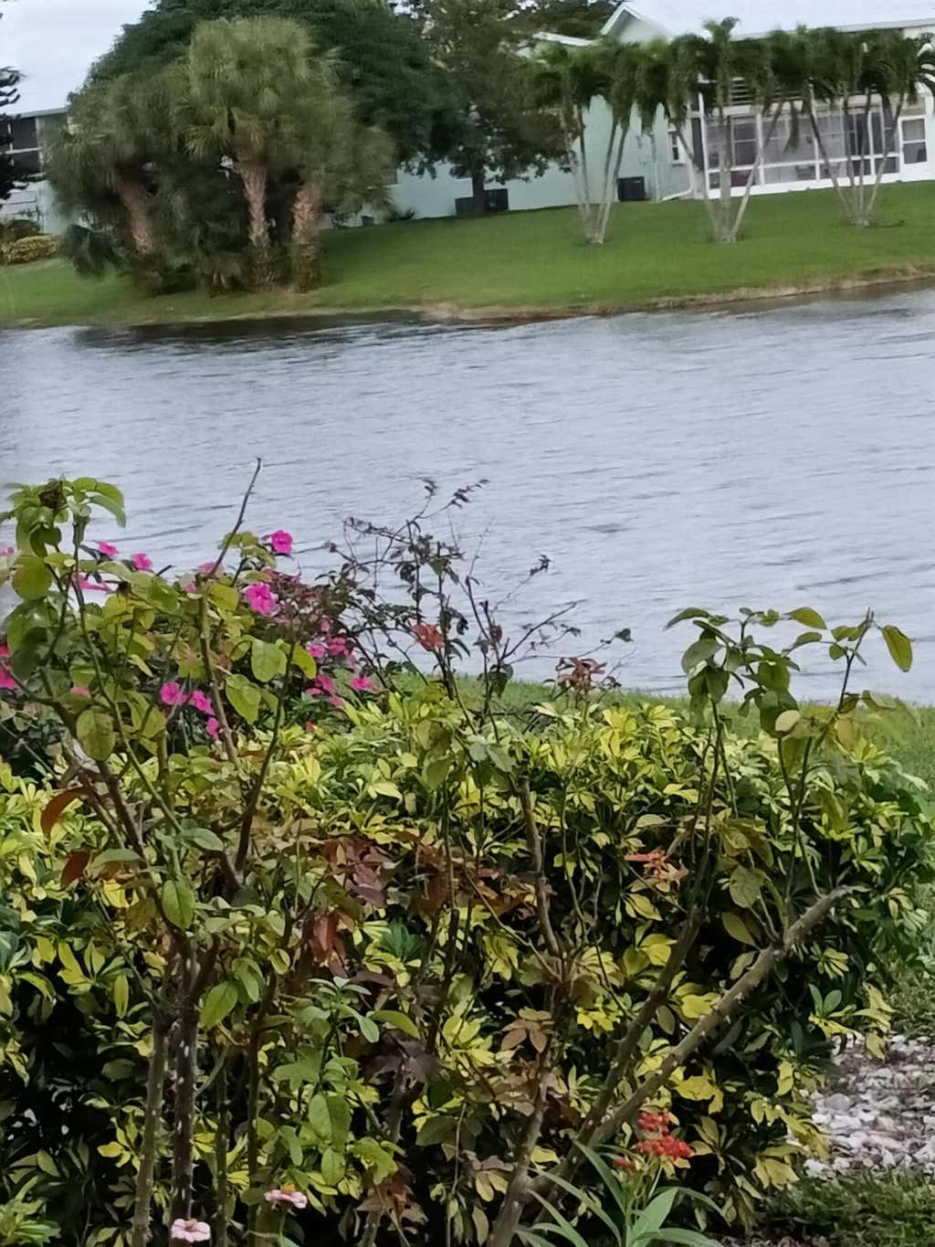 Photo of 12 Berkshire A, West Palm Beach, FL 33417 (MLS # R10942435)