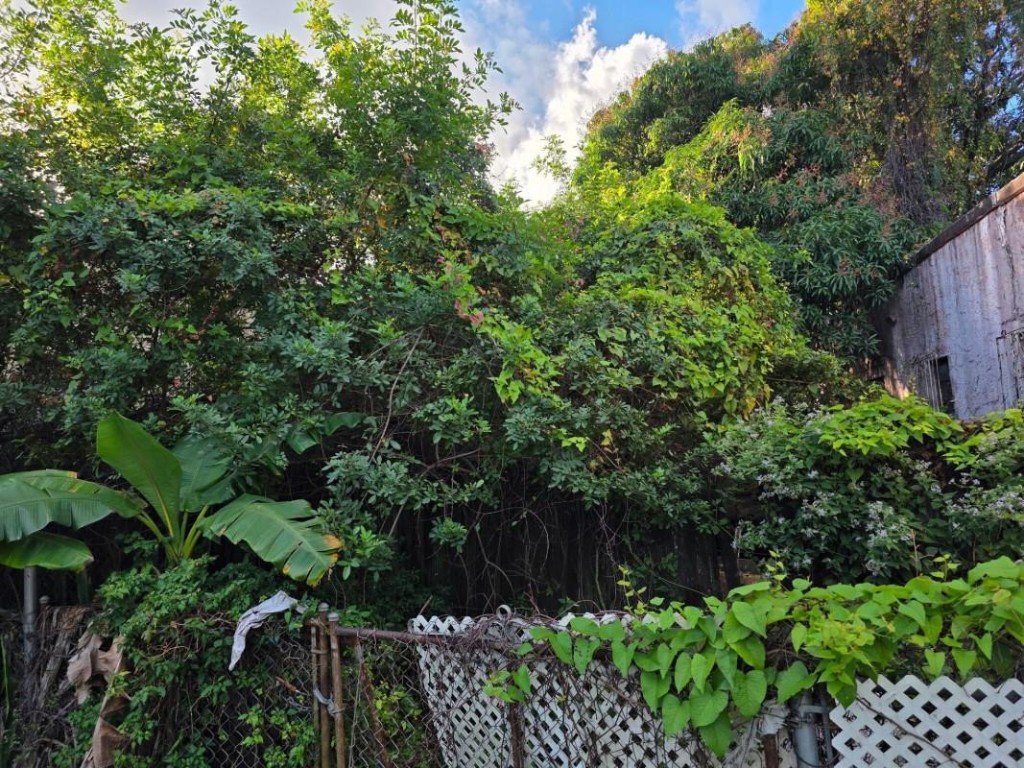 Bay Vista Park Amd - Residential