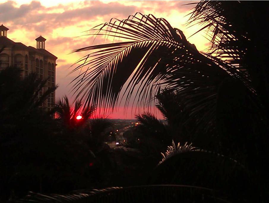 ONE CITY PLAZA CONDO - Residential Lease