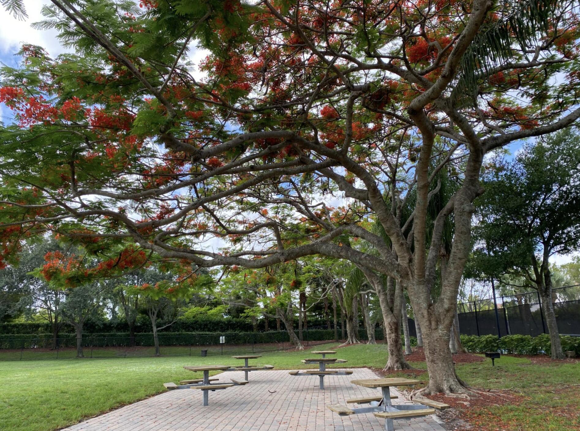 ANTHONY GROVES PH 2 - Residential