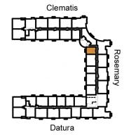 610 CLEMATIS CONDO - Residential Lease