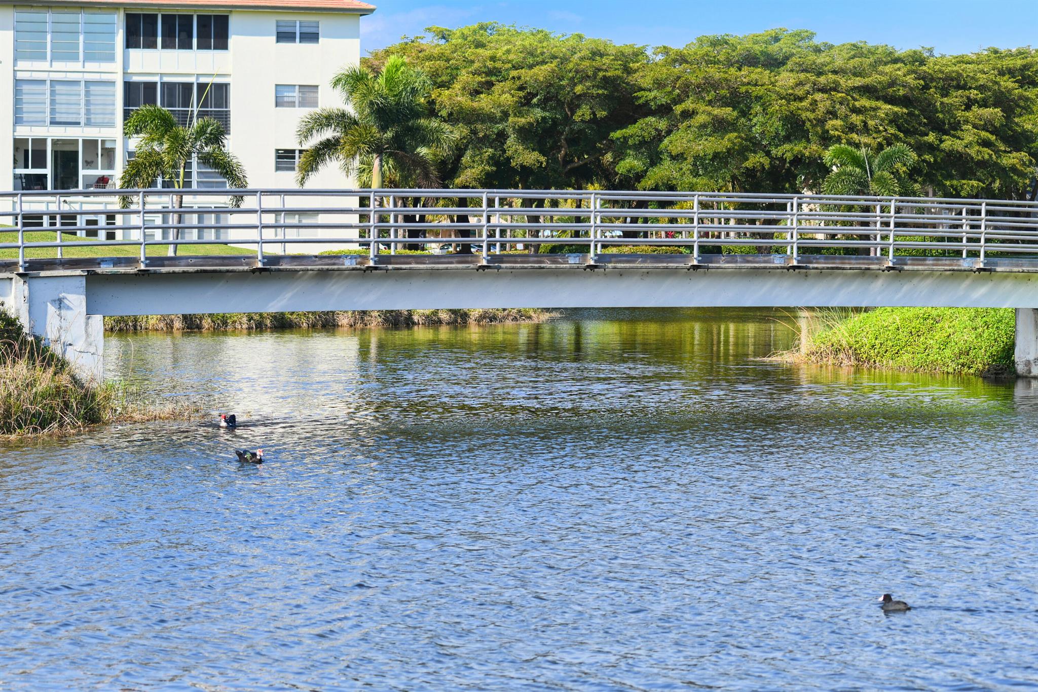 WYNMOOR - Residential Lease