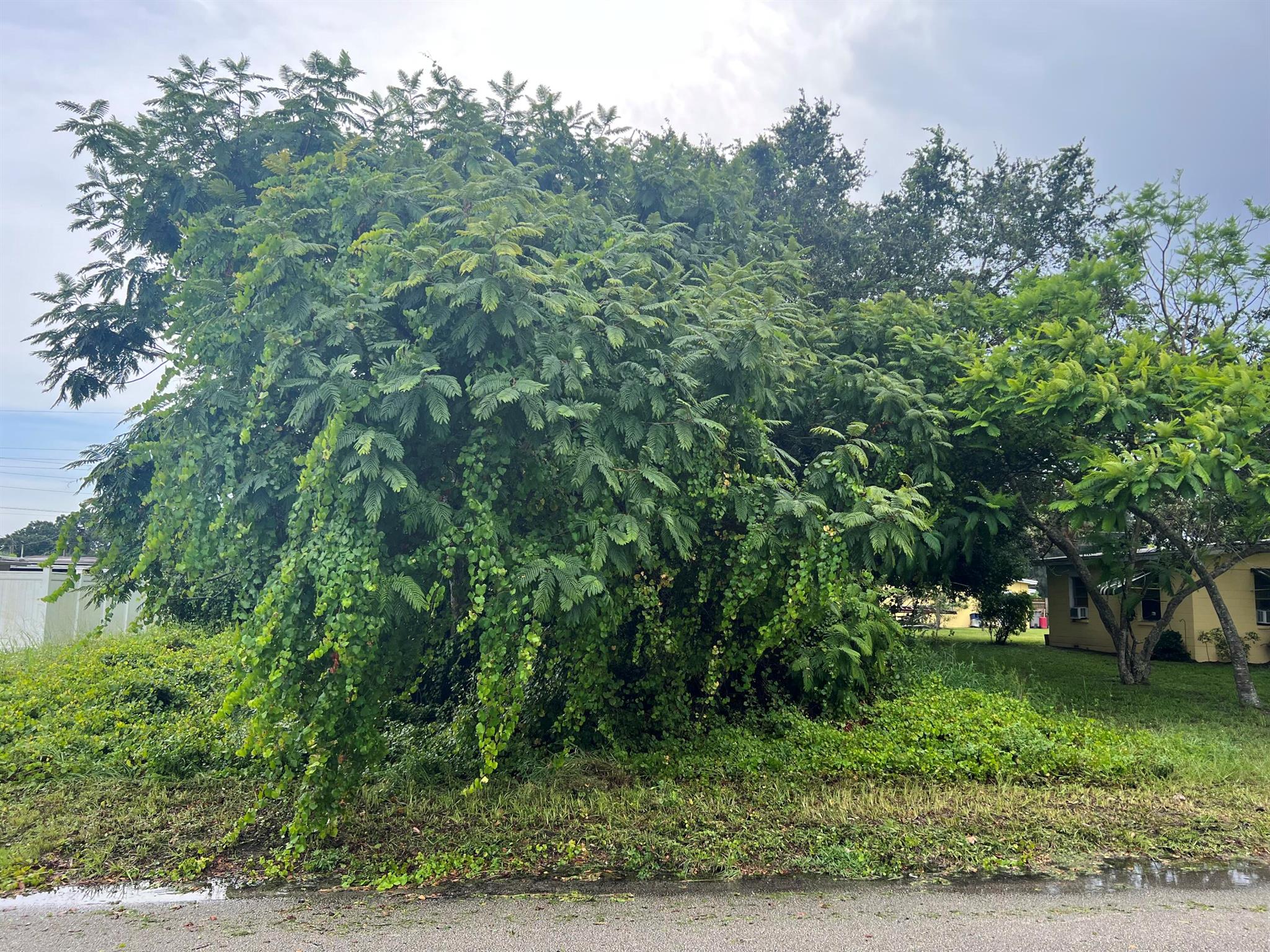 This single-family lot is centrally located in desirable Vero Beach Highlands. Minutes away from beaches, shopping, gourmet dining, fishing, and boating. Located near Indian river club, an exclusive golf course. Don't miss out on this great opportunity to build your dream home here.