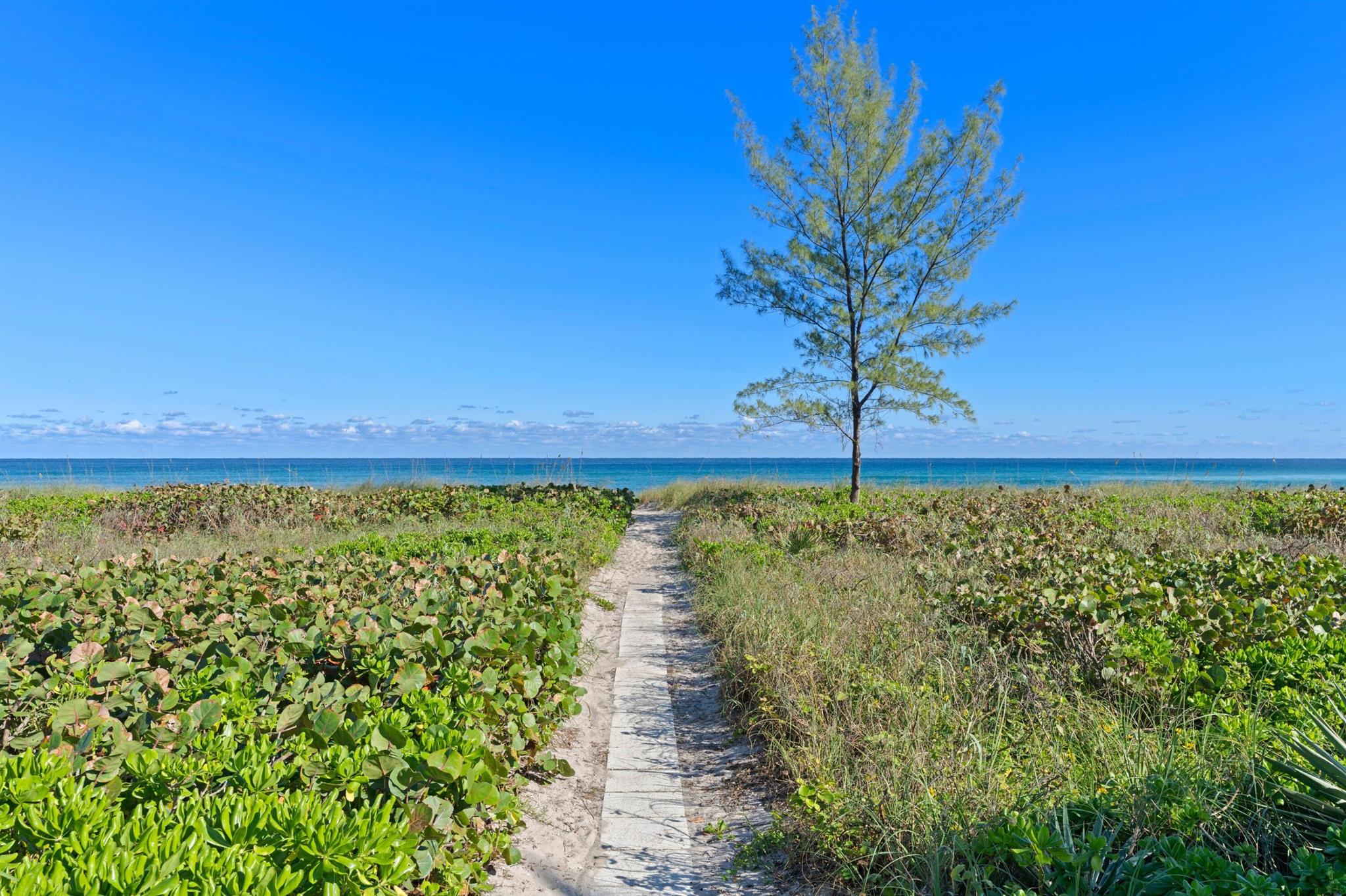 EL CORTIJO CONDO - Residential