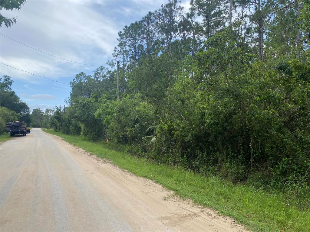 Don't miss out on this 5-acre lot with Electric available in the front of the property. And an abundance of wildlife If you enjoy peace, tranquility and lots of land this is the one for you. Build your dream home or put a manufactured one on the property. Zoning also allows horses. Can be your permanent home or a getaway. LOTS OF ROOM TO SPREAD OUT! this is also a mobile home friendly community with NO HOA dues to pay. This beautiful, spacious lot located inside Moneytree Ranchettes & just off of Camp Mack Rd which leads directly to Beautiful Lake Kissimmee State Park. Owner financing available.