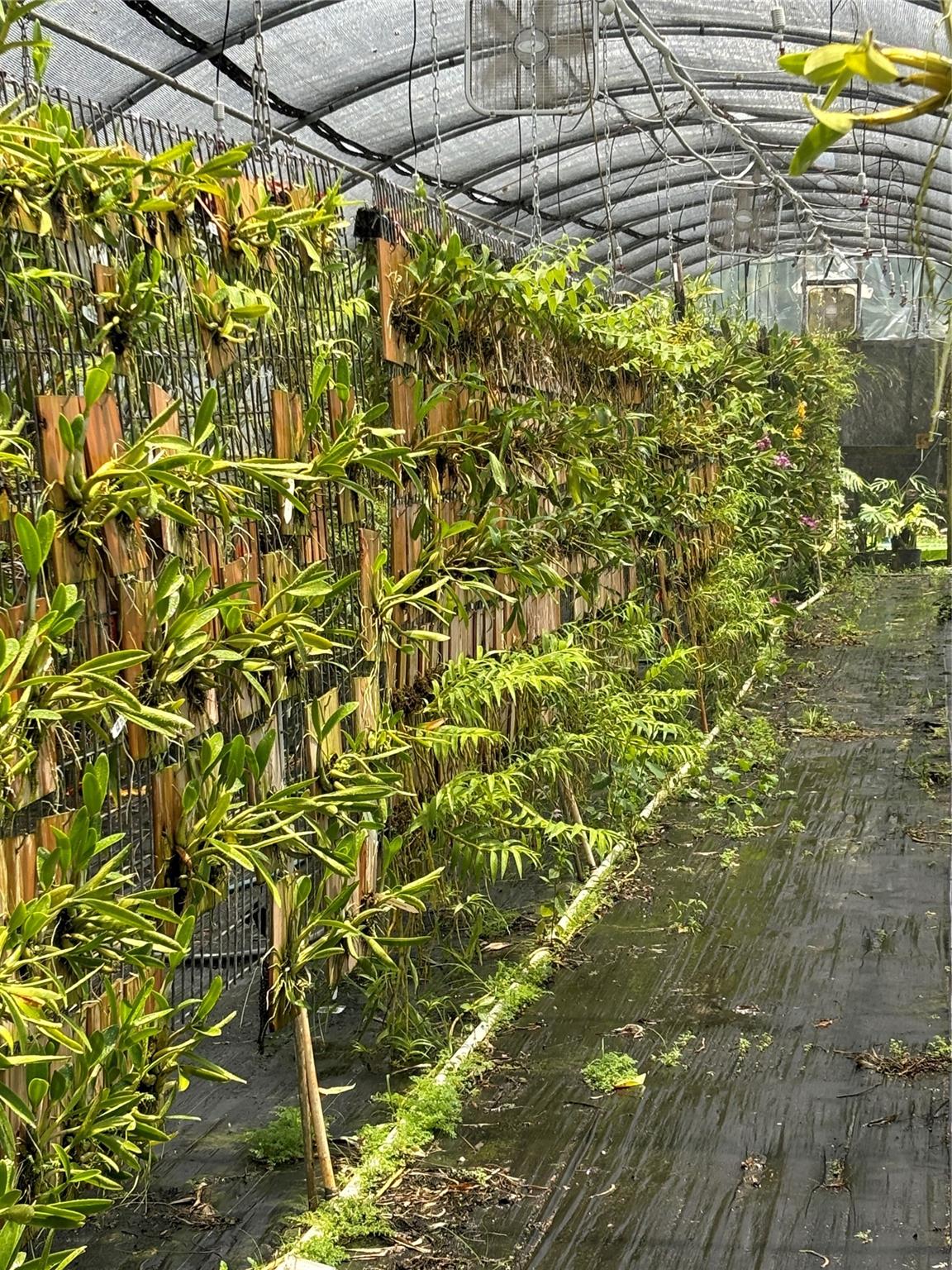 Acreage & Unrec - Land