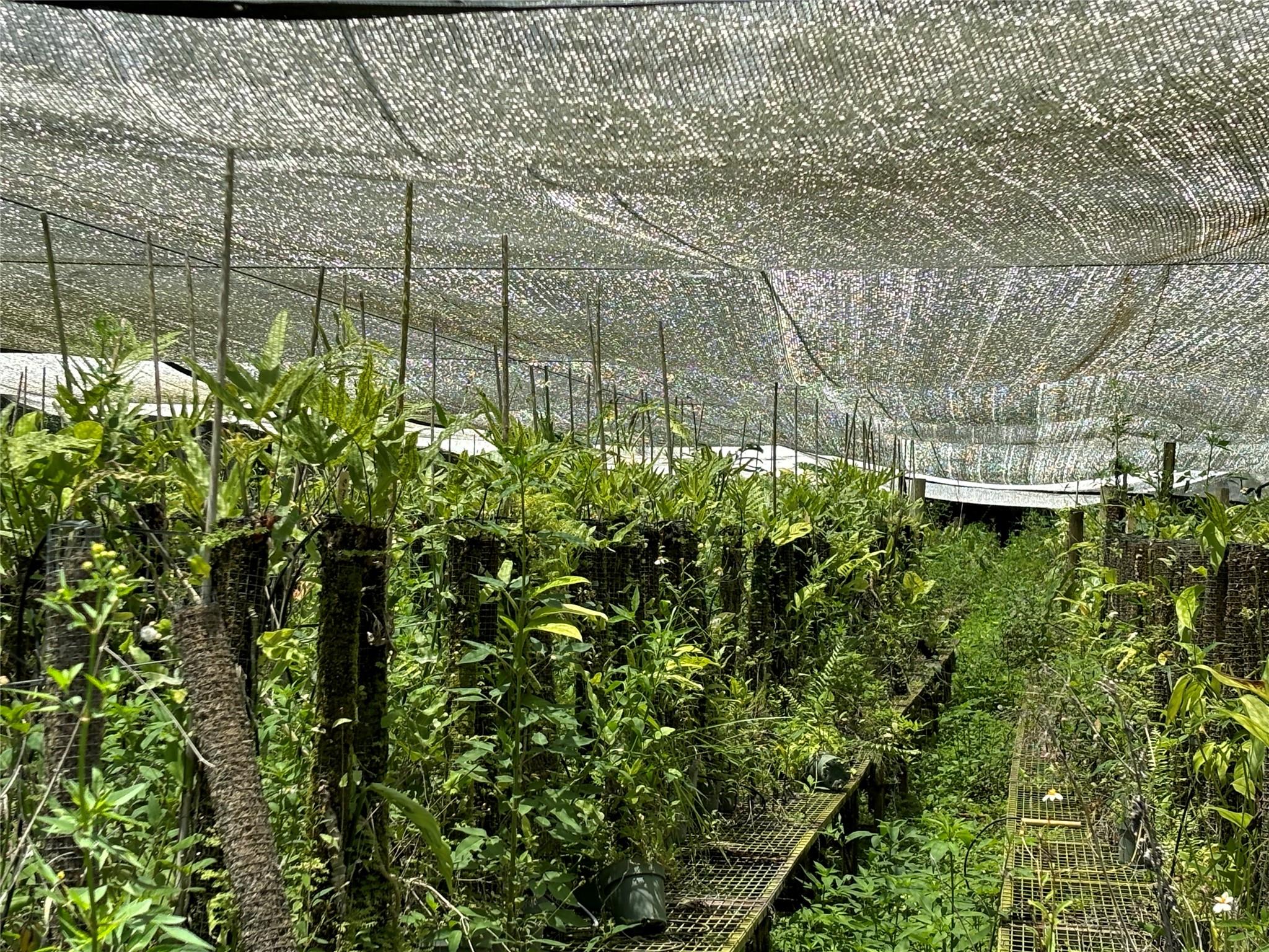 Acreage & Unrec - Land