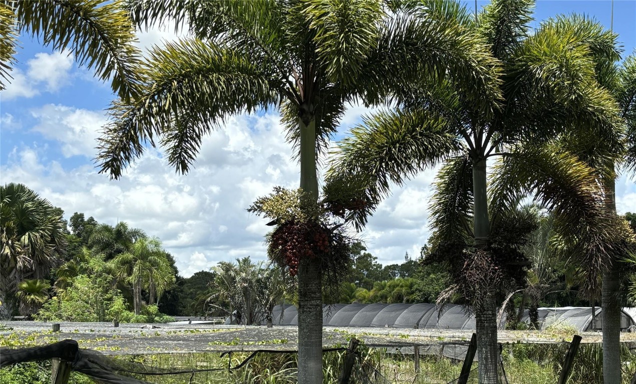 Acreage & Unrec - Land