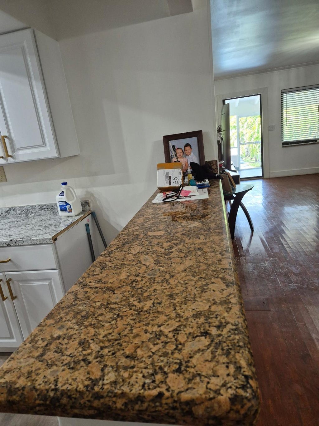Photo of 1404 Plunkett Street, Hollywood, FL 33020 (MLS # B26048145)