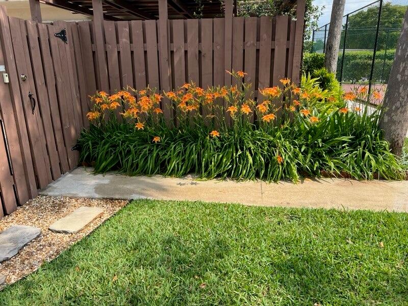 Photo of 5551 NW 61ST Place, Tamarac, FL 33319 (MLS # B26091576)
