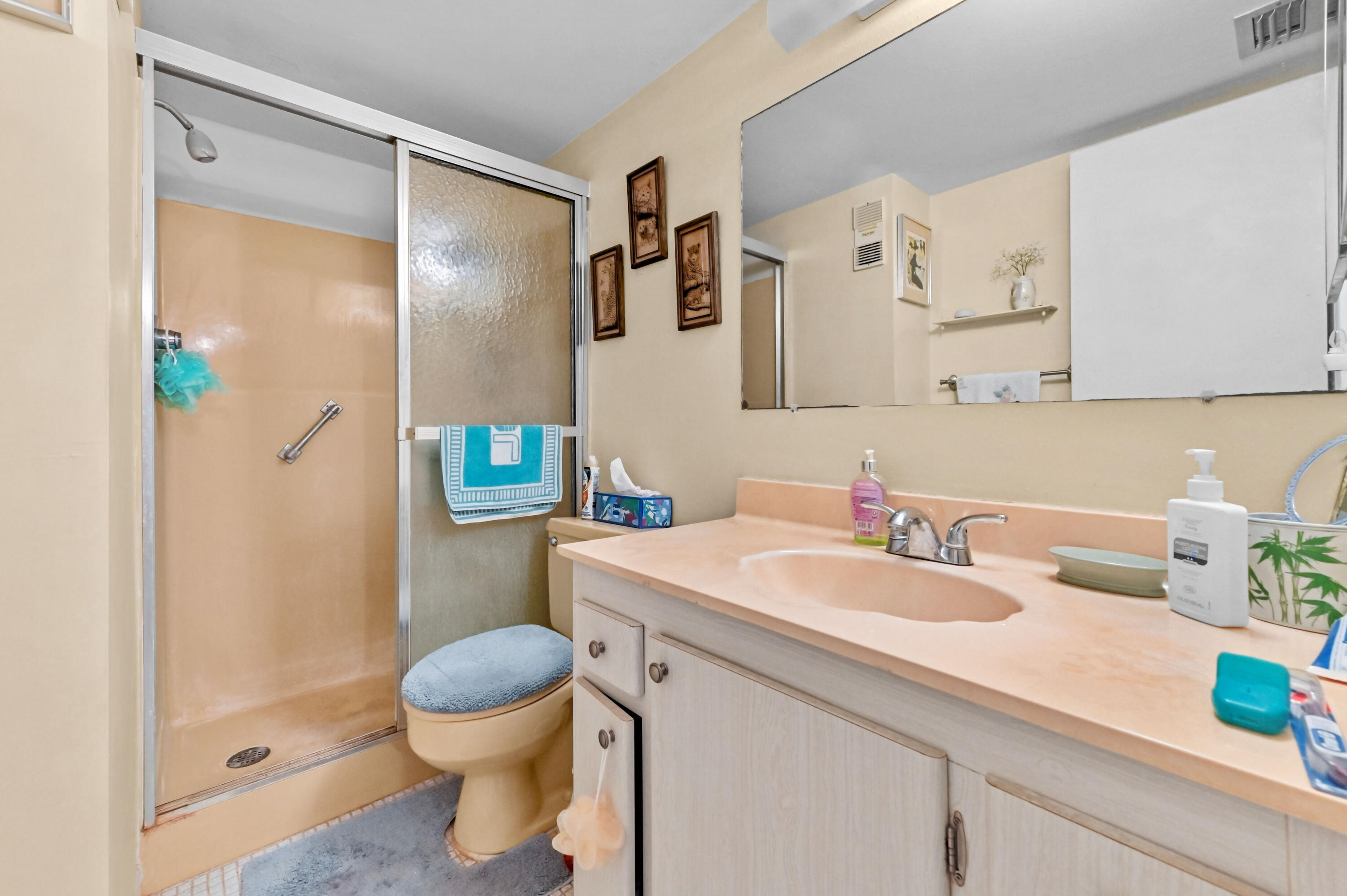 VILLAGE ROYALE GREENWOOD - Residential