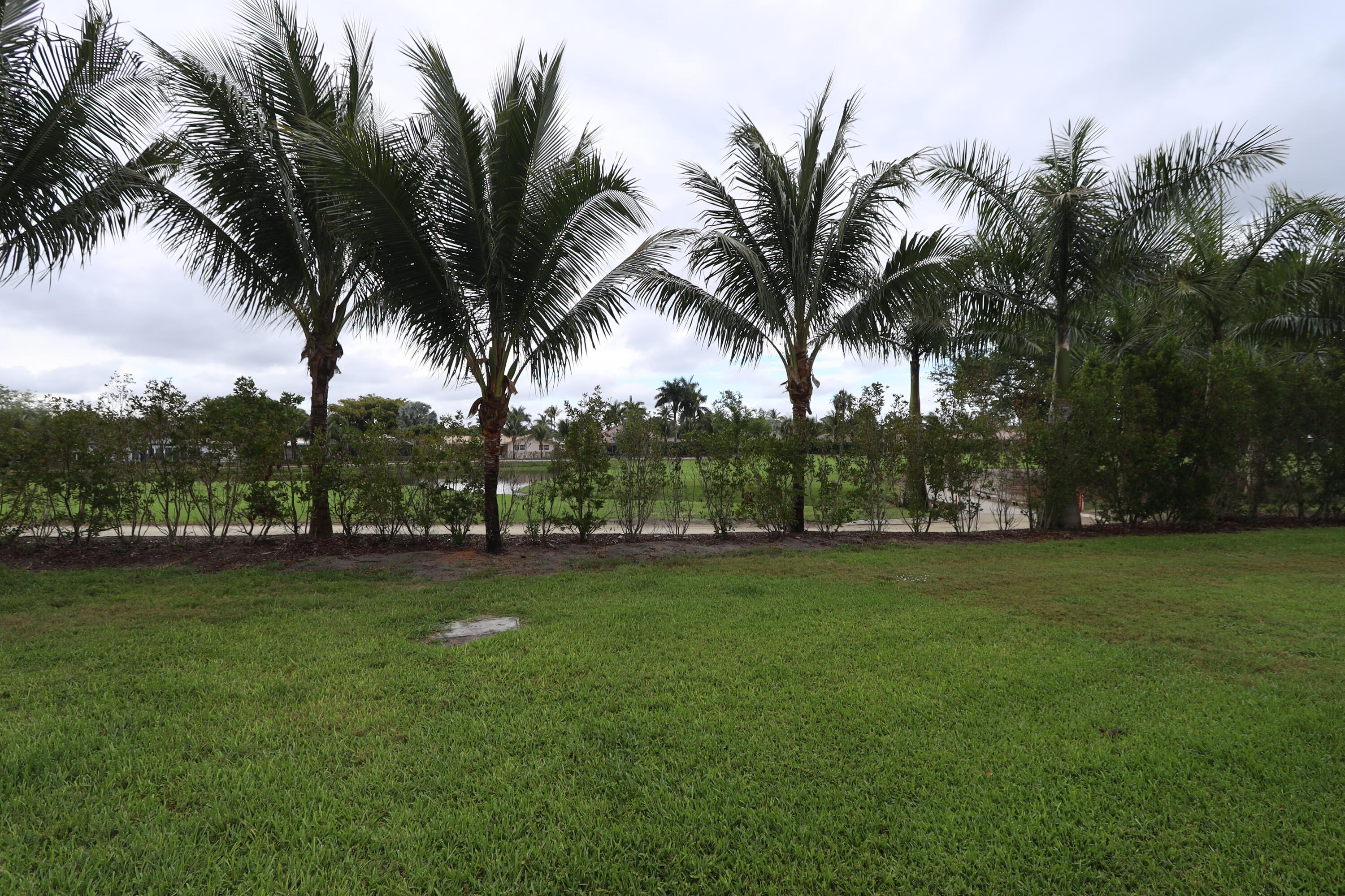 CAMEO WOODS CONDO - Residential