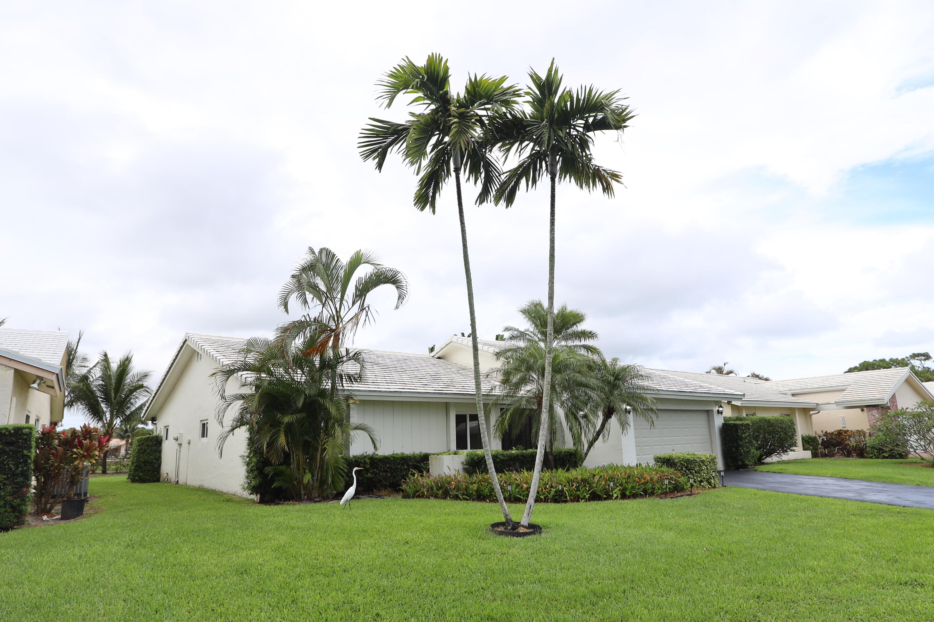 CAMEO WOODS CONDO - Residential