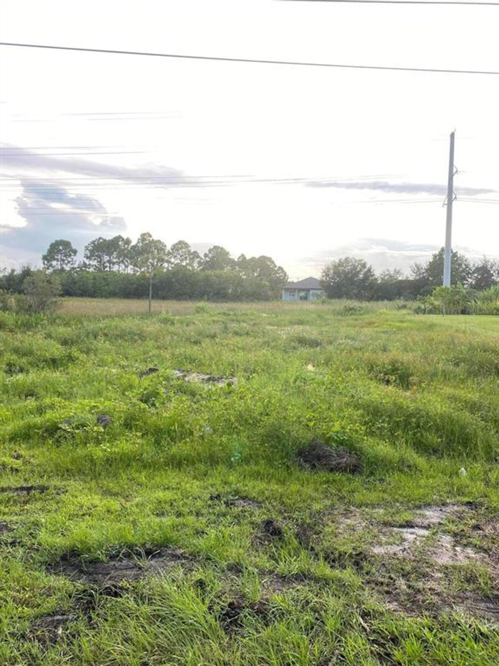 Photo of 2448 SW Altara Street, Port Saint Lucie, FL 34953 (MLS # R10744940)