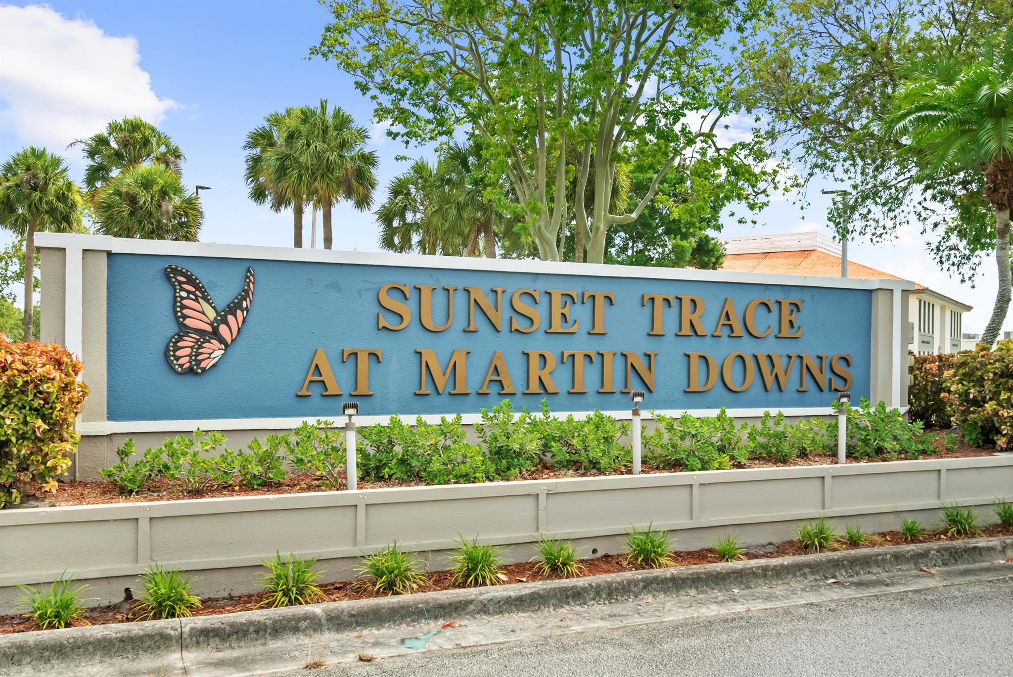 WELLESLEY AT SUNSET TRACE - Residential