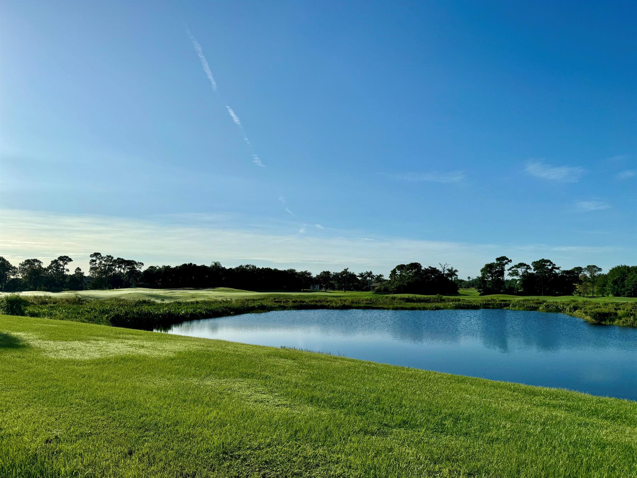Water to golf views are yours from this idyllic home site on a cul-de-sac street. The prime location features views of Palmer Golf Course holes 14, 15, and 16. The pond separating the site from the 15th golf green is fully stocked and awaits your fishing pleasures. The southwestern exposure of the site is perfectly aligned to create a beautiful sunset view for your new home. Tesoro has enhanced the design guidelines for the finest homes in the latest motifs. As the new owner, you may use any of Tesoro's featured builders to construct a house. Call for the latest information on the Tesoro Featured Builders and the plans designed with you in mind. Membership in the club is not required. Tesoro is a private manned gated community, so appointments are needed to see the home site.