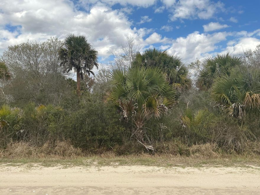Discover the perfect opportunity to own 1.50 acres of land in the peaceful and growing area of Okeechobee. This spacious lot offers plenty of room to build your dream home, place a manufactured home, or invest for the future. Located in a quiet, rural setting, the property is surrounded by natural Florida beauty with a mix of open land and nearby homes, providing both privacy and a welcoming community feel. Power is available, making it easier and more cost-effective to start your building plans. Enjoy the charm of country living while still being conveniently close to local shops, dining, schools, and outdoor recreation, including the renowned Lake Okeechobee for fishing and boating. With easy access to main roads, this property offers the ideal balance of tranquility and accessibility.