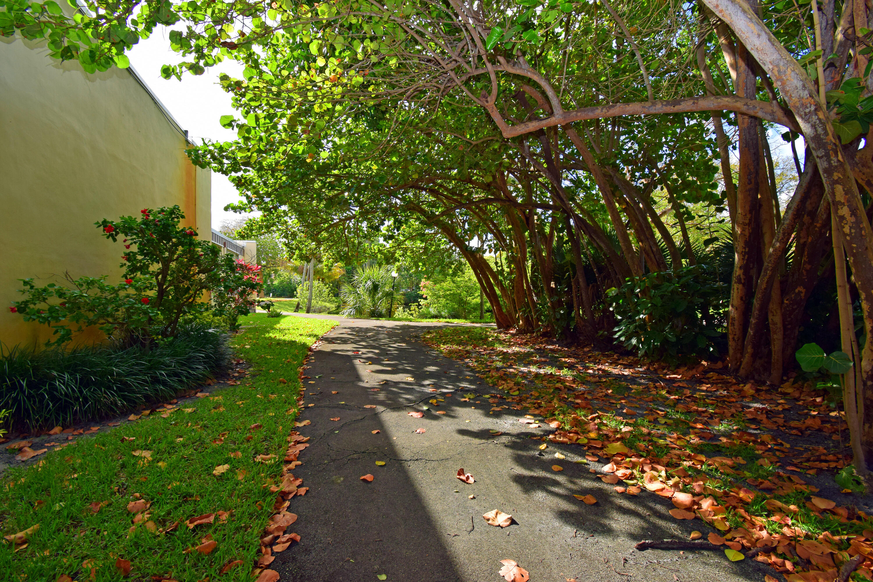 OMEGA CONDO NO 3 - Residential