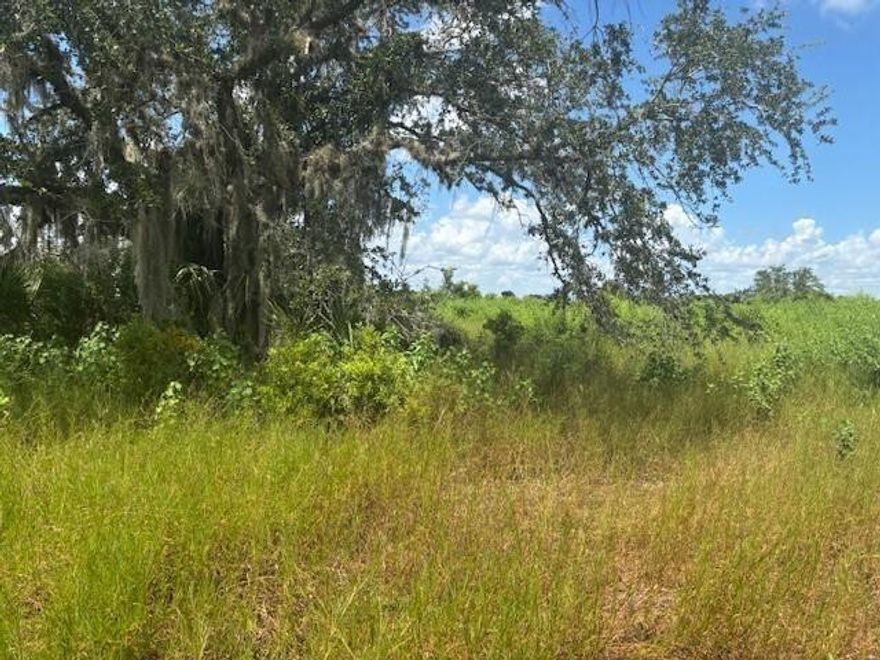 Adjacent land Available1.25 acre lot in Viking Estates. Close to the Kissimmee Prairie State Park. Bring your 4 -wheelers. This property is not only ideal for recreational uses such has camping, hunting and shooting, but it’s agricultural as well