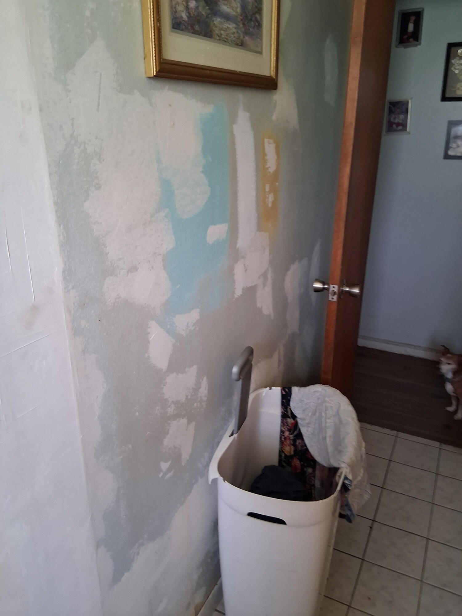 Basswood 03 - Residential