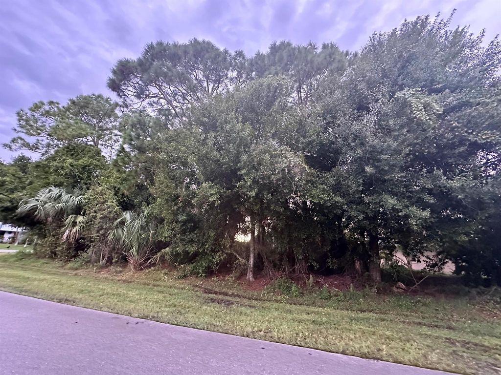 Photo of 1874 SW Lennox Street, Port Saint Lucie, FL 34953 (MLS # R11131540)