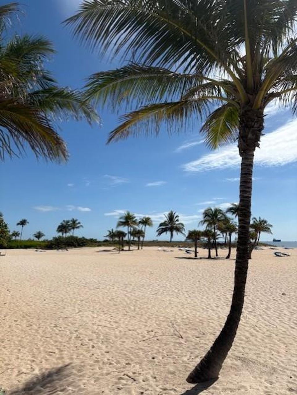 Photo of 1590 S Ocean Lane #222, Fort Lauderdale, FL 33316 (MLS # F10505308)